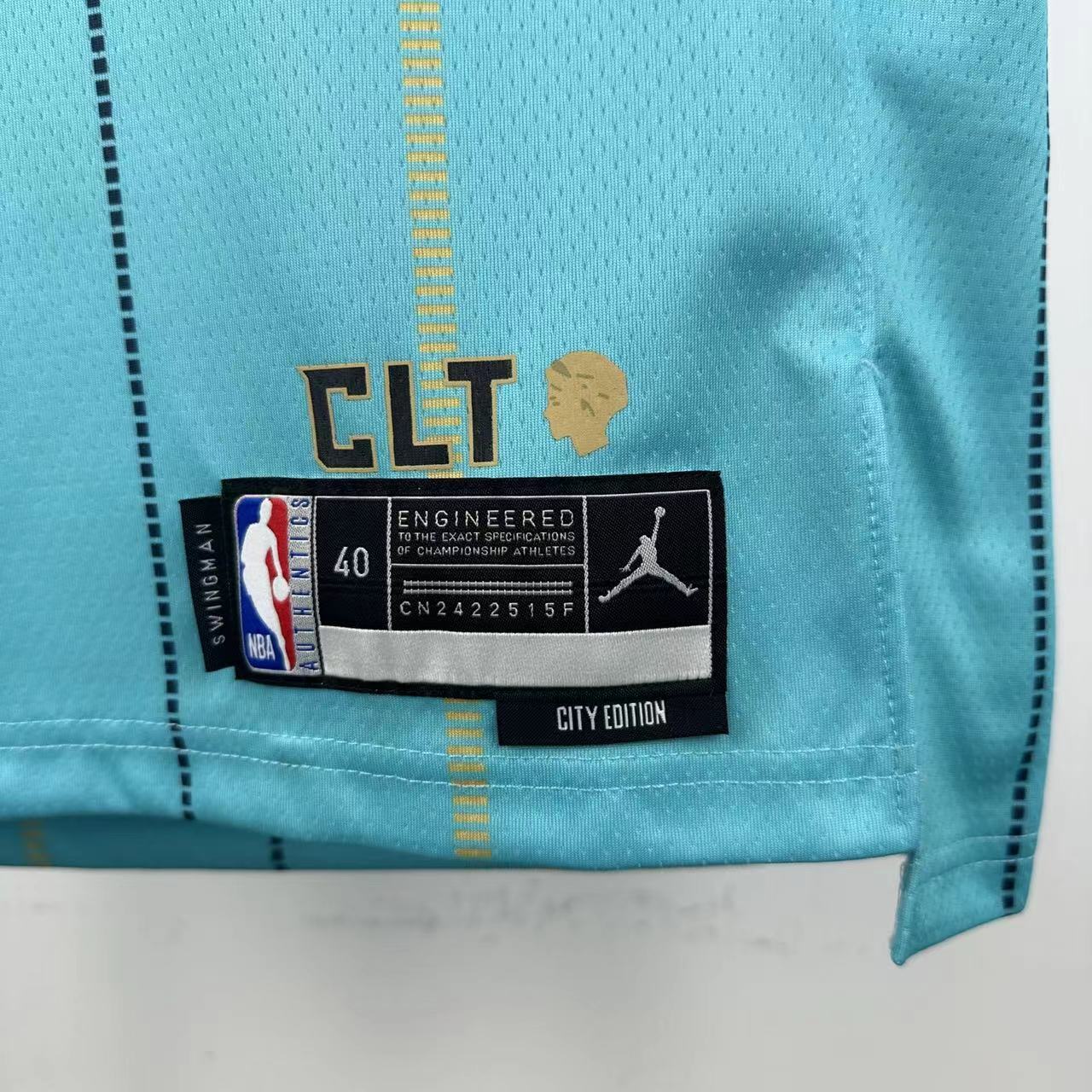 Charlotte Hornets 2025 Jordan Brand City Edition Swingman Jersey