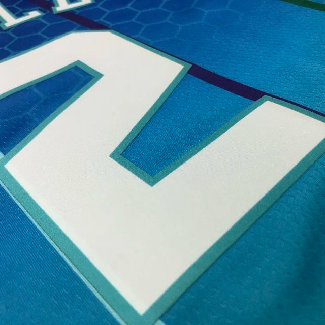 Charlotte Hornets 2021-22 Blue City Edition Swingman Jersey