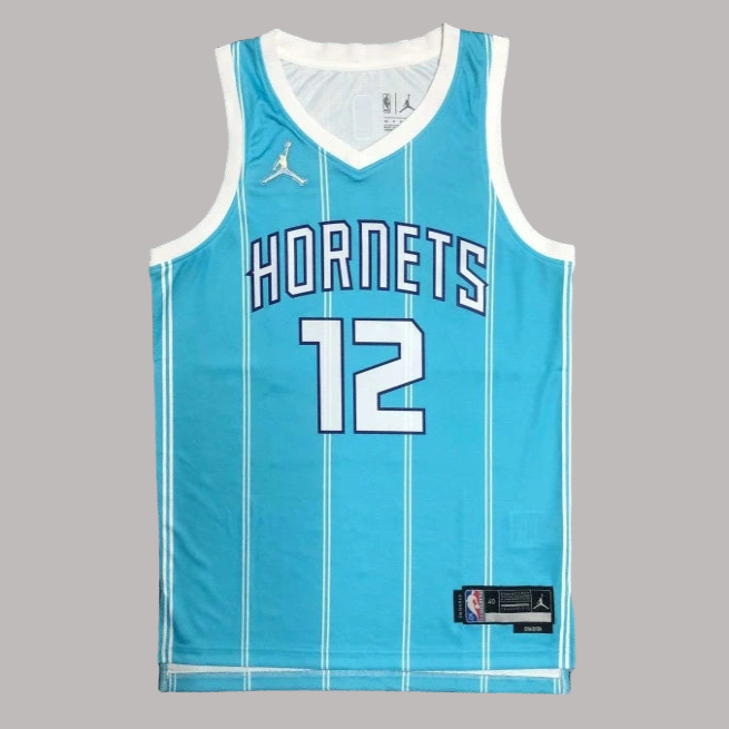 Charlotte Hornets 2022-23 Blue 75th Anniversary Icon Edition Swingman Jersey